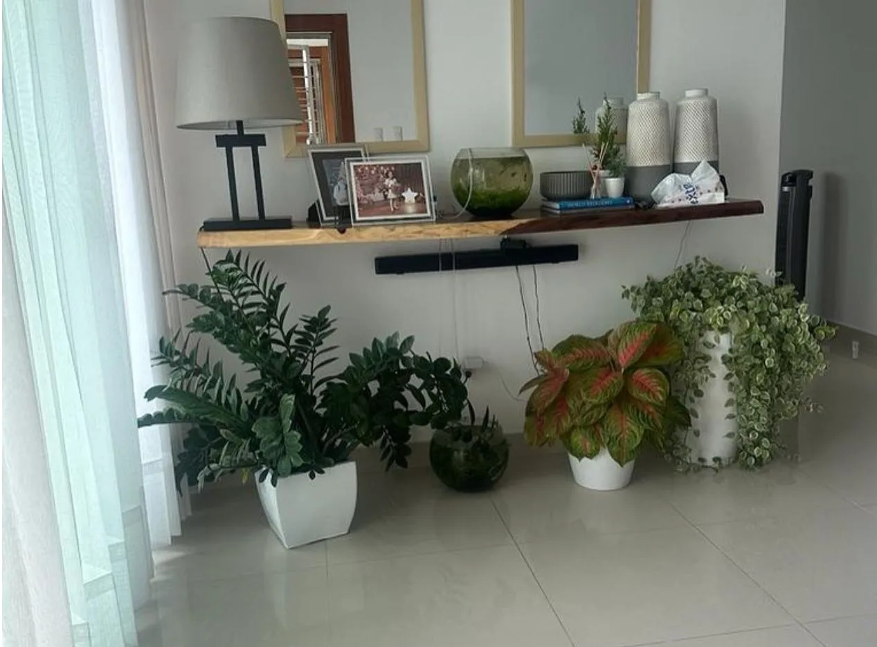 APARTAMENTO DE OPORTUNIDAD EN VENTA – VILLA MARIA, SANTIAGO DE LOS CABALLEROS. - Vista 2