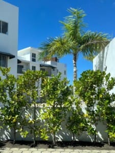 Apartamento en venta Jacagua 1 Apartamento en venta Jacagua