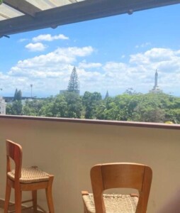 PENTHOUSE EN VENTA – LA TRINITARIA, SANTIAGO.