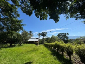SOLAR EN VENTA – JARABACOA.