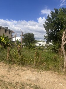 TERRENO URBANIZACIÓN THOMEN