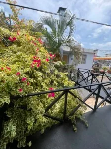 Local Comercial en Alquiler Ubicado Los Jardines, Santiago
